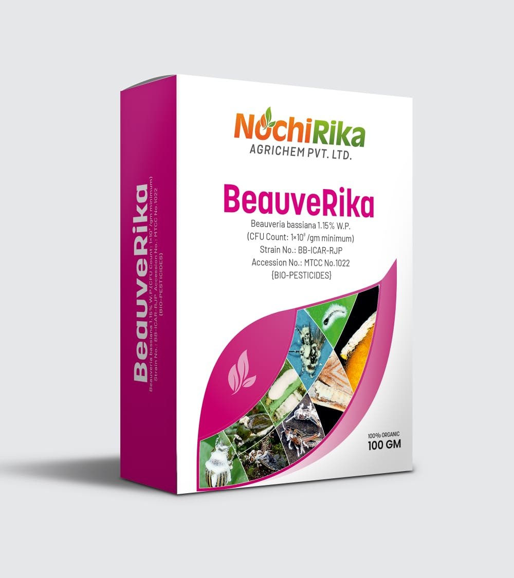 BeauveRika