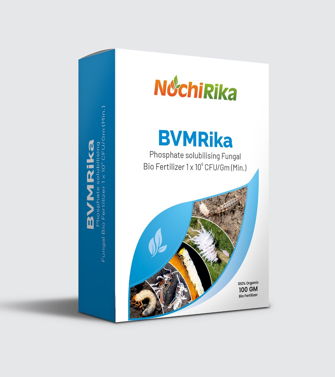 BVMRika